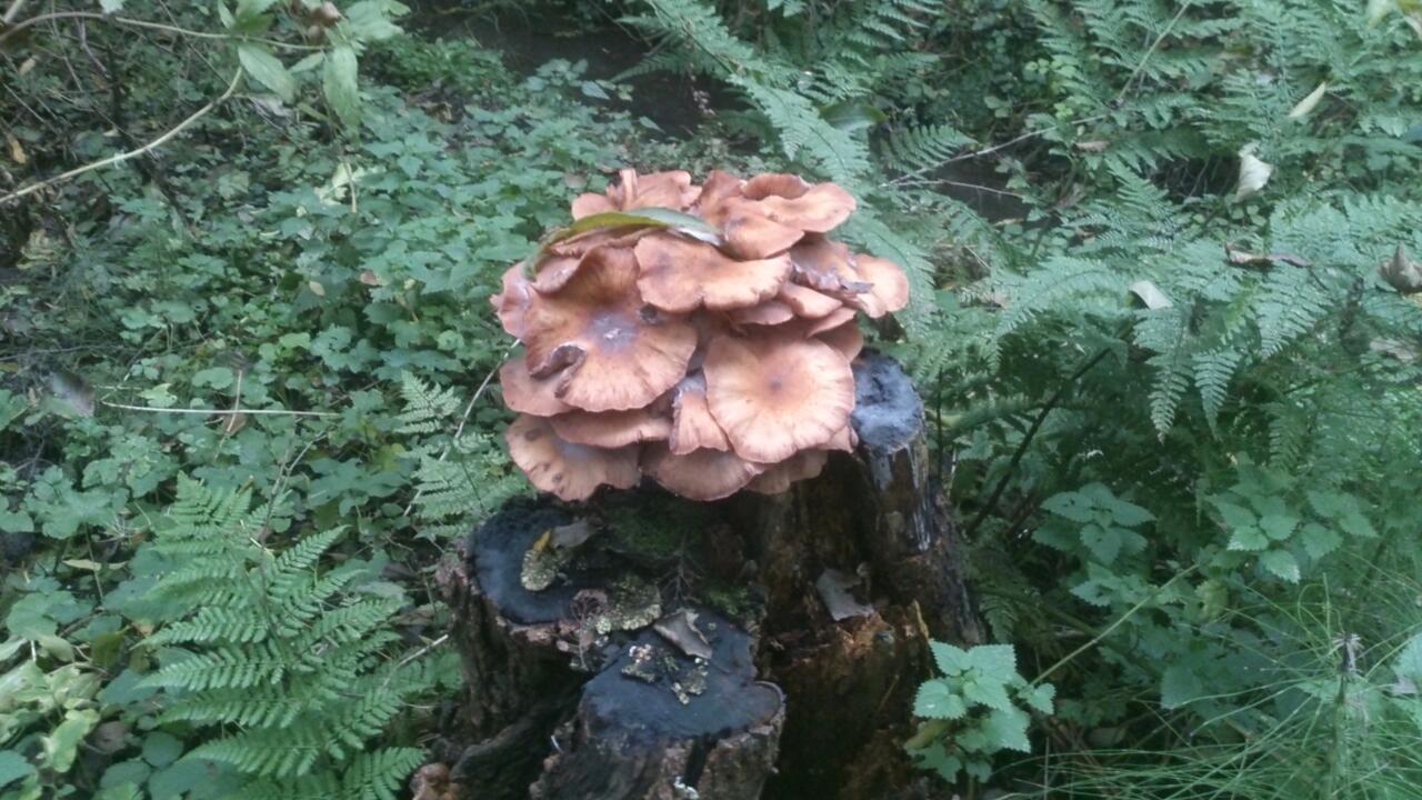 image08