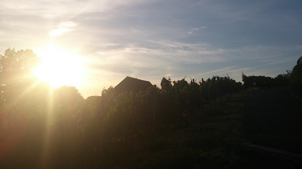 image15